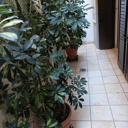 Breathe In - Spacious 3br With View